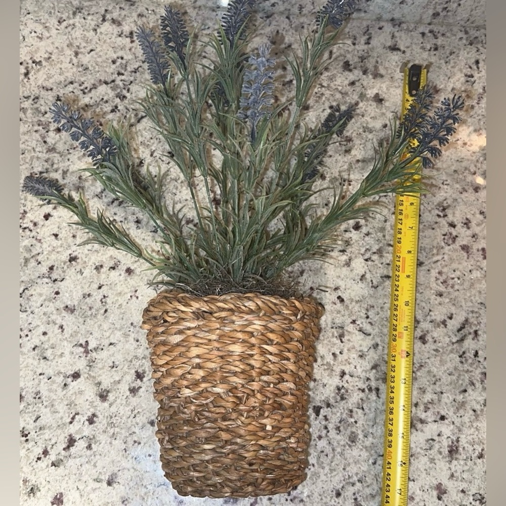 Sonoma Goods Faux lavender plant in woven basket